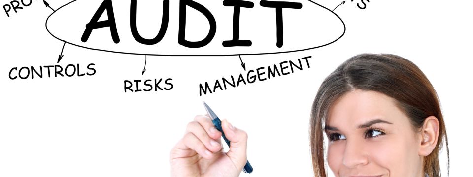 AUDIT SERVICES